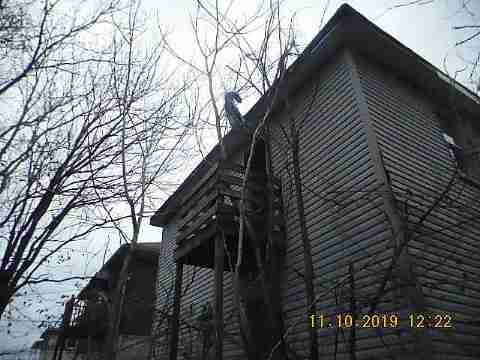 11795 Washburn (13)_m.jpg